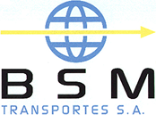 bsm-v01 1